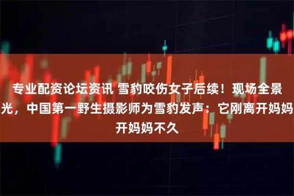 专业配资论坛资讯 雪豹咬伤女子后续！现场全景图曝光，中国第一野生摄影师为雪豹发声：它刚离开妈妈不久